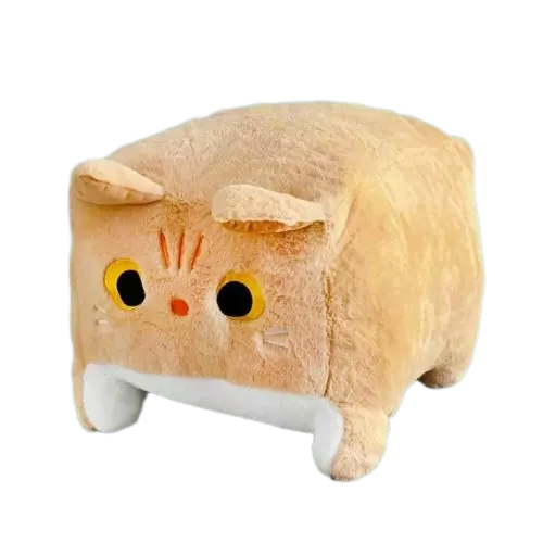 Кот — после