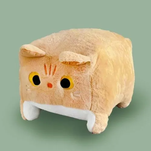 Кот — до